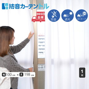 【最大10,000円オフクーポン配布中★マラソン限定】防音レースカーテン トル 幅100cm×丈198cm 1枚 断熱 防音 UVカット ミラーレス 省エネ 節電効果 遮音 PM2.5 花粉