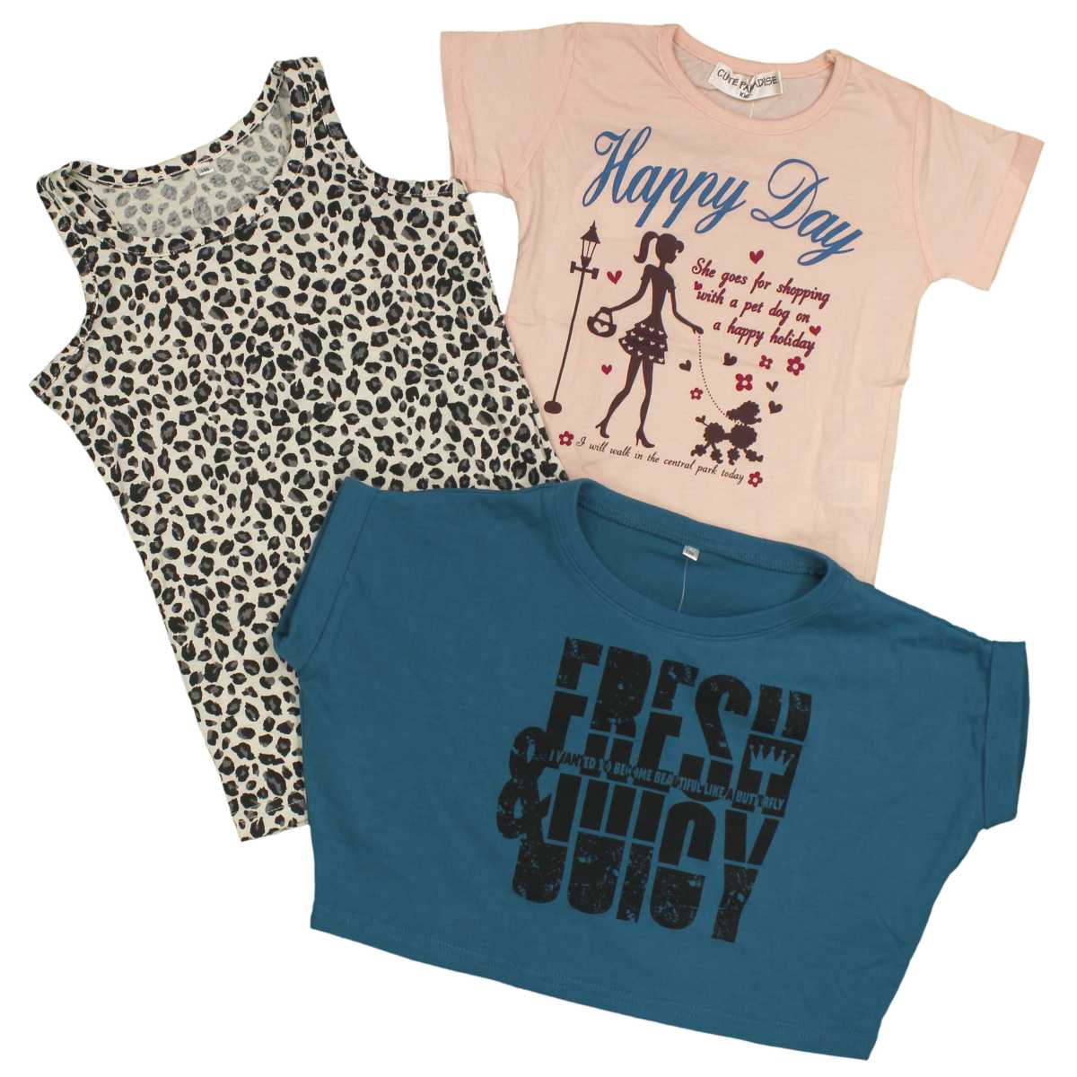 륺 å ȥåץȾµ[Pianissimo(ԥ˥å)]Ⱦµ T åȥ 󥯥ȥå ʡ 3 λ   B