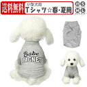 犬の服 犬服 Tシャツ 小型犬用 春 夏 秋 薄手 かわいい おしゃれ カットソー 犬 猫 ペット