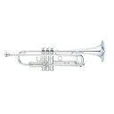 【お買い物マラソン★SALE】【5年保証】【最強翌日配送対応】YAMAHA ヤマハ管楽器 YTR-850GSトランペット カスタムモデル B♭【レビュー投稿でお...