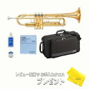 【お買い物マラソン★SALE】【5年保証】【新品】YAMAHA ヤマハ管楽器 YTR-4335GII トランペット スタンダードモデル B♭【レビュー投稿でお手...