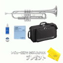 【お買い物マラソン★SALE】【5年保証】【新品】YAMAHA ヤマハ管楽器 YTR-4335GSII トランペット スタンダードモデル B♭【レビュー投稿でお...