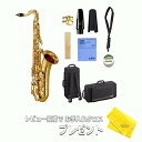 【お買い物マラソン&0の付く日★】【5年保証】【新品】YAMAHA ヤマハ管楽器 YTS-480 テナーサックス B♭【レビュー投稿でお手入れ用クロスプレゼント...