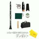 【お買い物マラソン★SALE】【5年保証】【新品】YAMAHA ヤマハ管楽器 YCL-450 クラリネット スタンダードモデル B♭【レビュー投稿でお手入れ用ク...