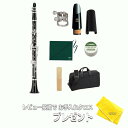 【お買い物マラソン&0の付く日★】【5年保証】【新品】YAMAHA ヤマハ管楽器 YCL-650 クラリネット プロフェッショナルモデル B♭【レビュー投稿でお...