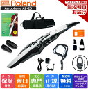 【GWセール】【約￥9,000相当ヘッドホンプレゼント】Roland ローランド Digital Wind Instrument デジタル管楽器 専用キャリングバッグ付き Aerophone エアロフォン AE-20【すぐに使えるフルオプションセット】