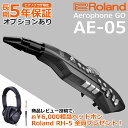 Roland ローランド Digital Wind Instrument デジタル管楽器 専用キャリングバッグ付き Aerophone GO エアロフォン ゴー AE-05