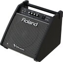 【あす楽対応】【13時までのご注文で即日発送】Roland ローランド Personal Monitor パーソナルモニタースピーカー PM-100