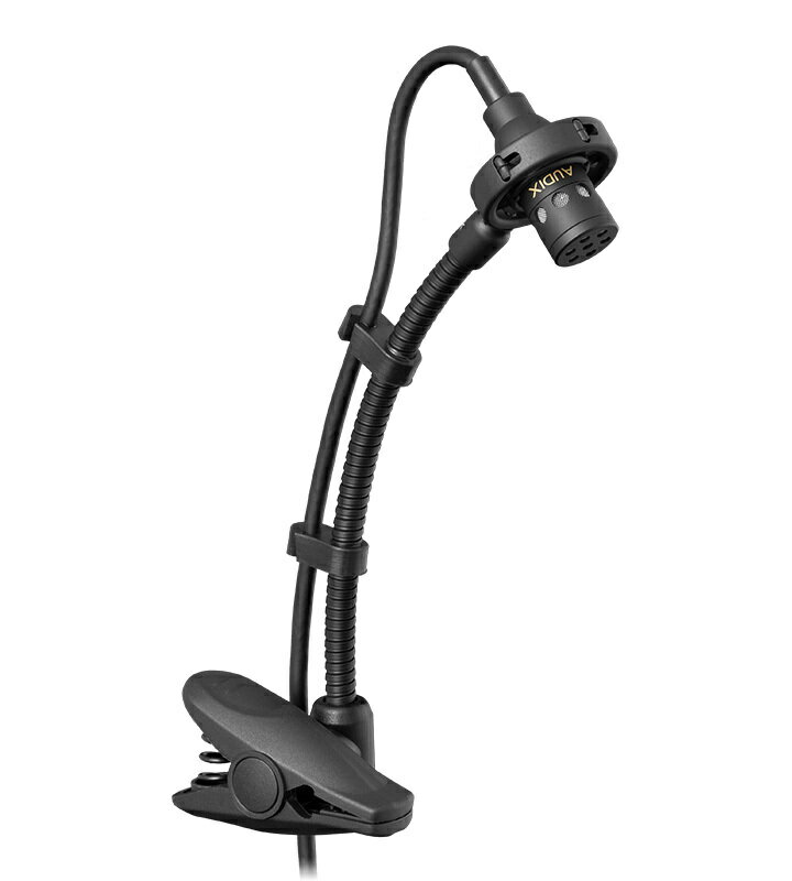 【大感謝祭】AUDIX 管楽器向け コンデンサーマイク カーディオイド ADX20iP