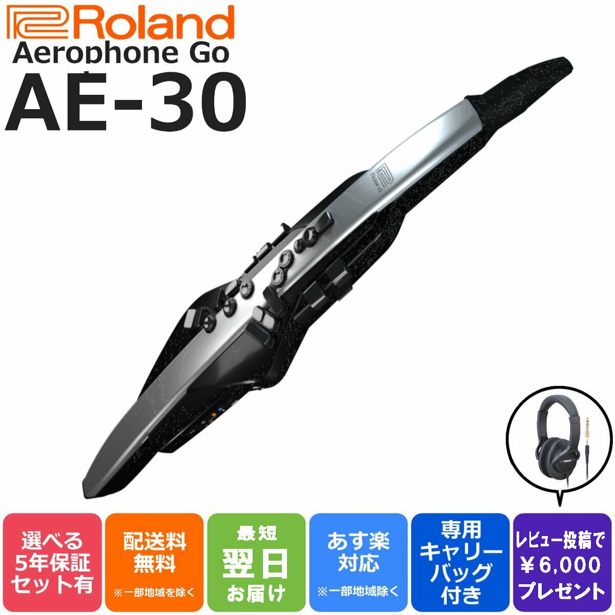 Roland ローランド Digital Wind Instrument デジタル管楽器 専用キャリングバッグ付き Aerophone Pro エアロフォン プロ AE-30