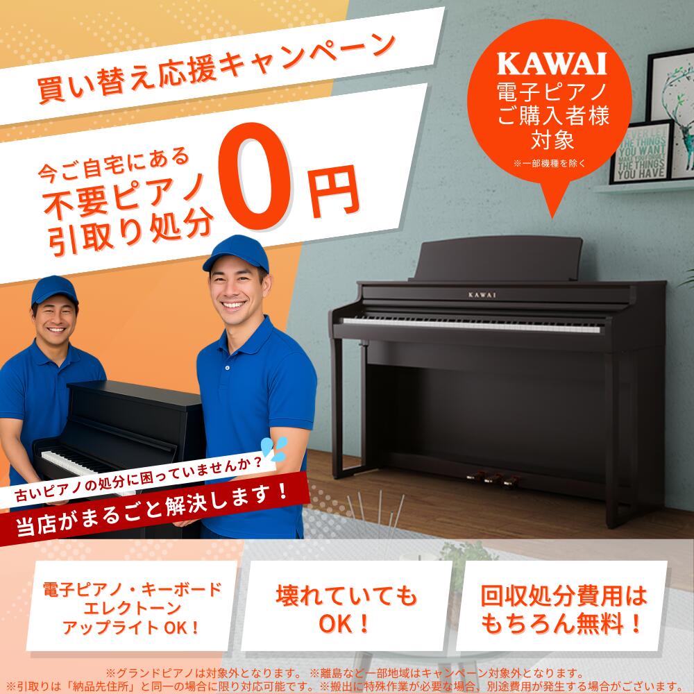 Concert Artist CA901A プレミアムホワイトメープル調