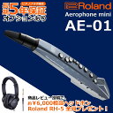 【24時間限定セール】【あす楽対応】【13時までのご注文で即日発送】Roland ローランド Digital Wind Instrument デジタル管楽器 Aerophone mini エアロフォン ミニ AE-01