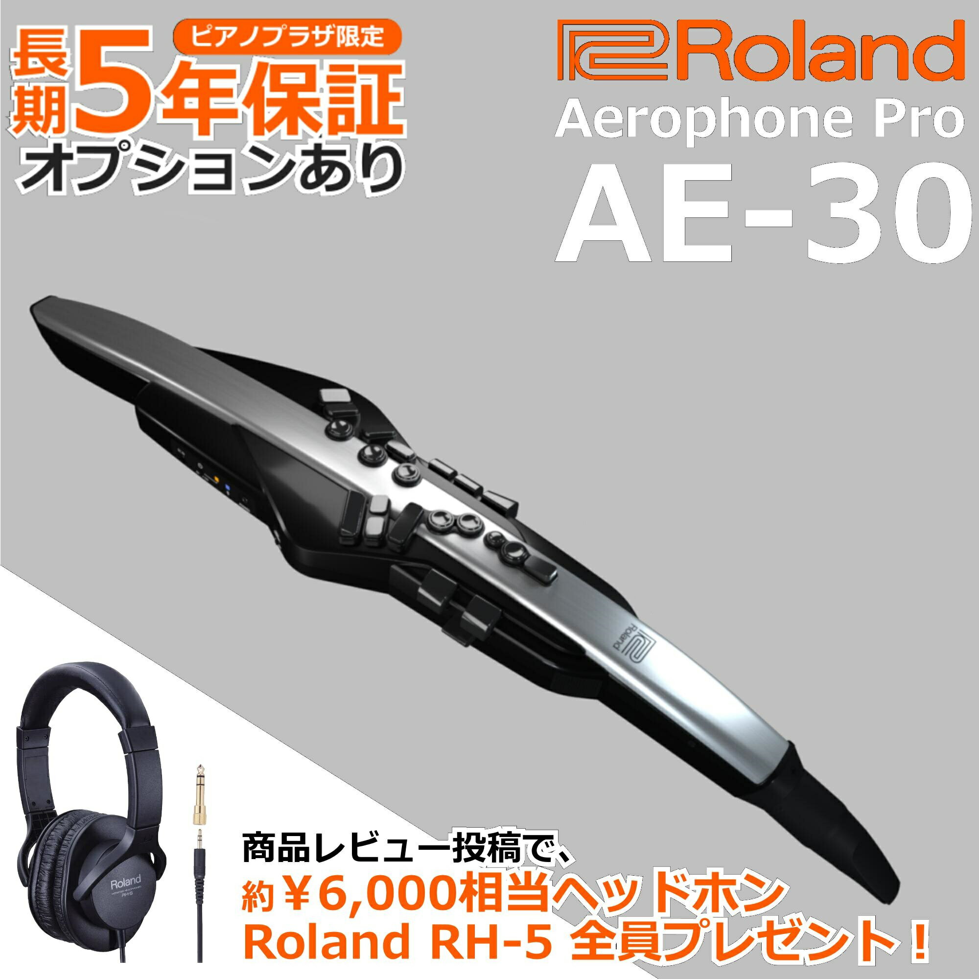 Roland ローランド Digital Wind Instrument デジタル管楽器 専用