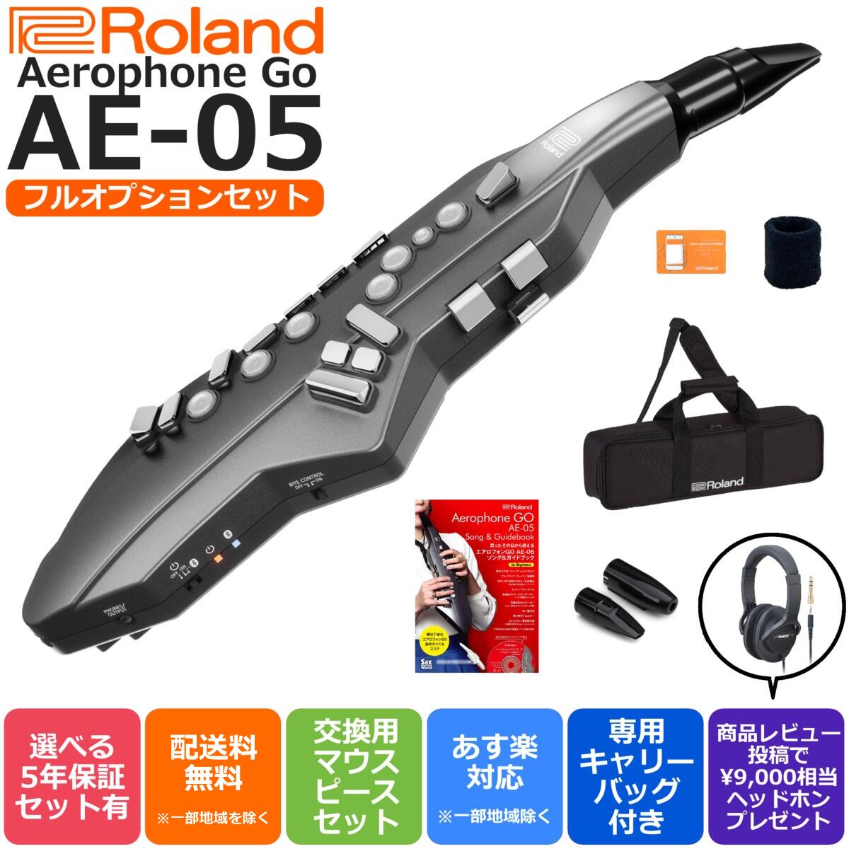 Roland ローランド Digital Wind Instrument デジタル管楽器 専用キャリングバッグ付き Aerophone GO エアロフォン ゴー AE-05