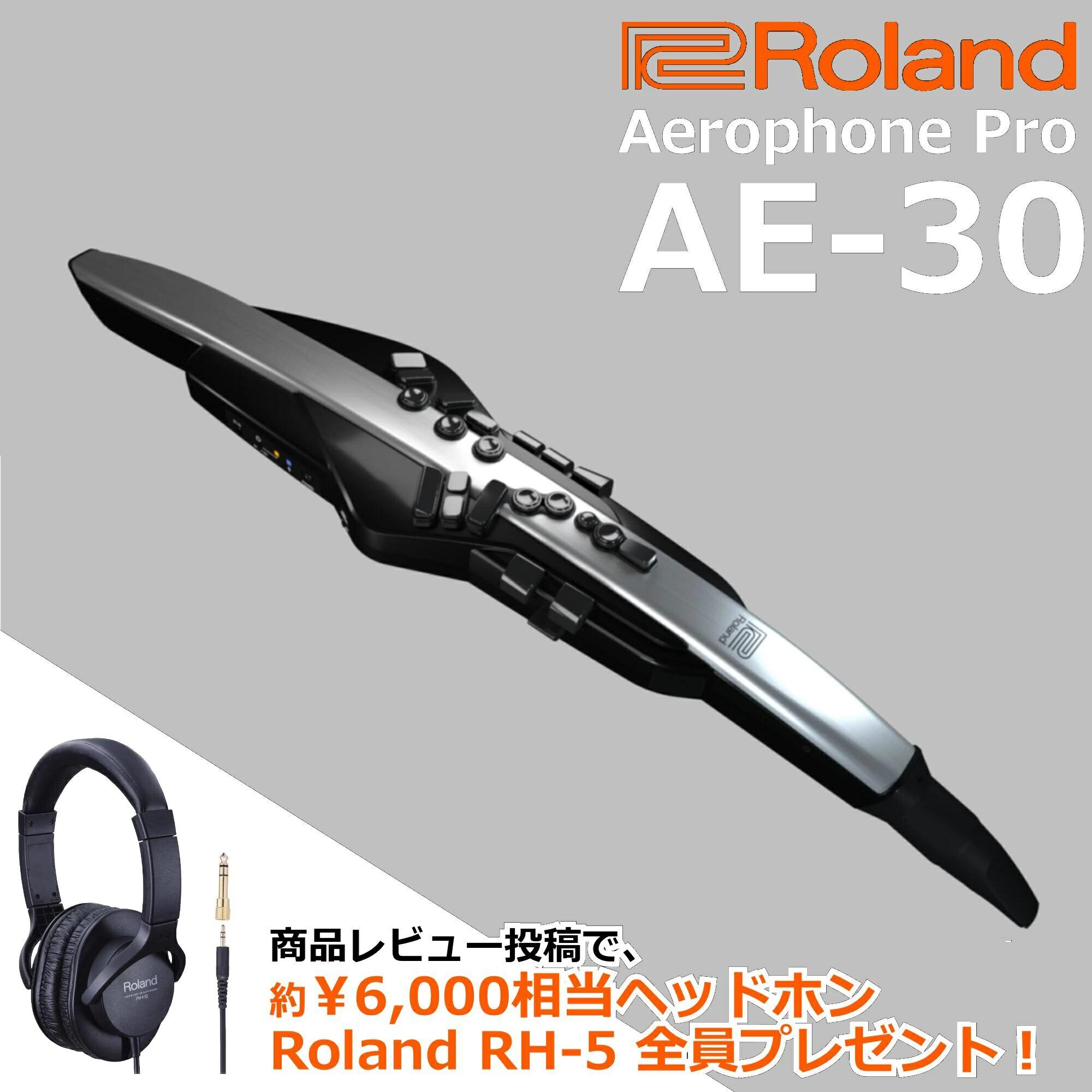 Roland ローランド Digital Wind Instrument デジタル管楽器 専用キャリングバッグ付き Aerophone Pro エアロフォン プロ AE-30