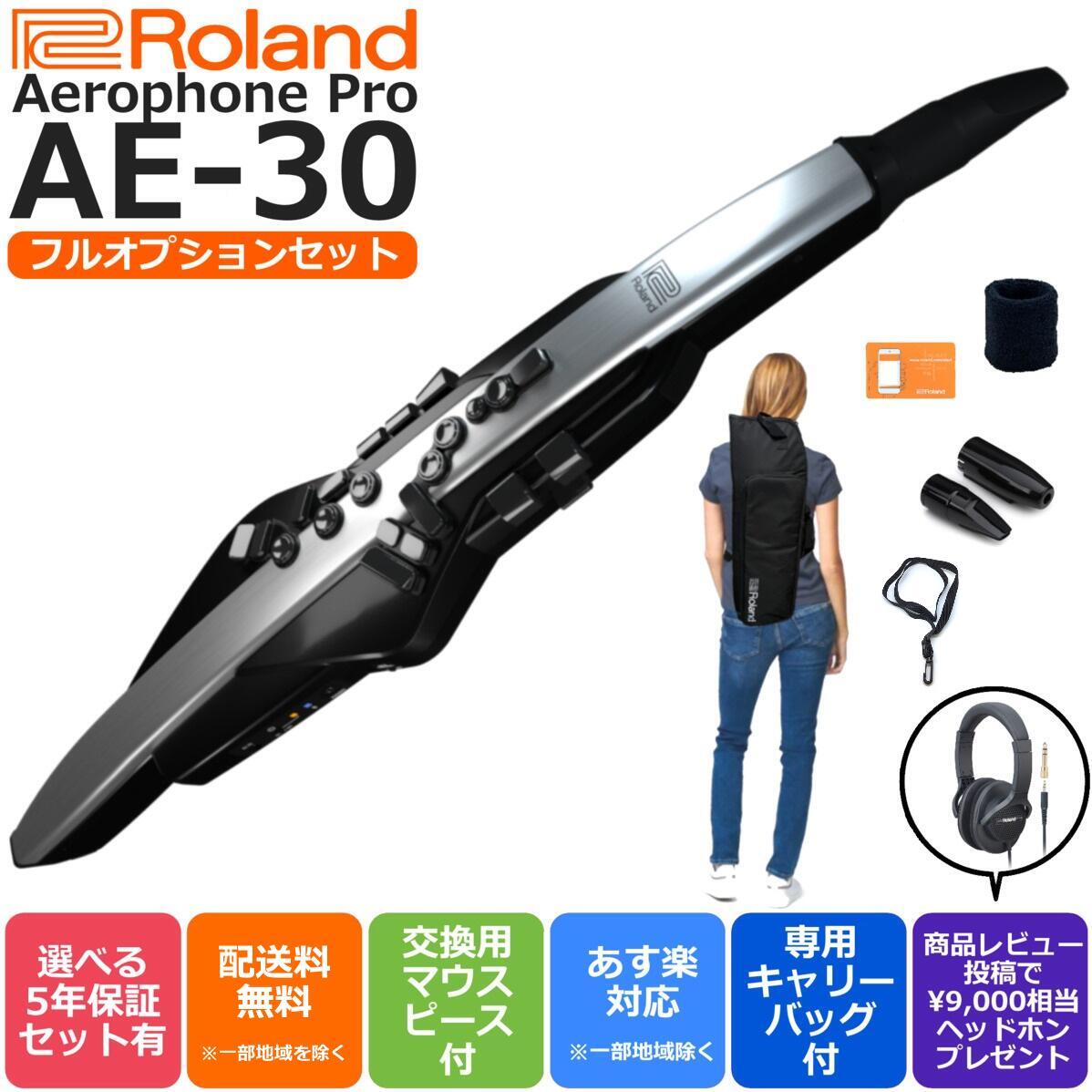 Roland ローランド Digital Wind Instrument デジタル管楽器 専用キャリングバッグ付き Aerophone Pro エアロフォン プロ AE-30