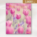 お返し・内祝いに!カタログギフト リンベルプレゼンテージ【3900円コース】ギャロップ(出産 内祝い 出産祝い 結婚祝い 新築祝い お歳暮 人気 話題 引き出物 内祝い 出産内祝い お返し 結婚 快気祝い 香典返し)【楽ギフ】