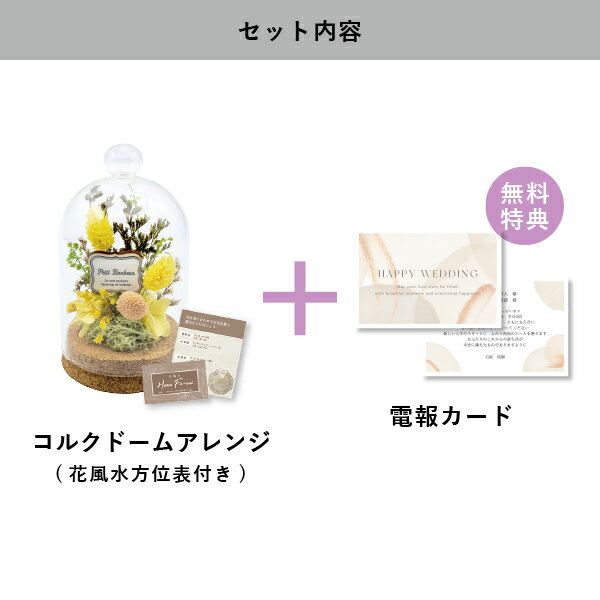 �뺧�����󡦽��šΥ��륯�ɡ��ॢ��� ��������������̵�� ���ڷ뺧�� ���󡦽��� ���եȡۥץꥶ���֥ɥե� �ɥ饤�ե� �����ǥ��� ���� �뺧�ˤ� ���ˤ� ������� �� ���ˤ� �ץ쥼���