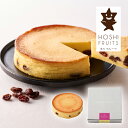 引き菓子ホシフルーツ 大人のチーズケーキ(お中元 夏ギフト プレゼント 洋菓子 スイーツ デザート お菓子 贈り物 お祝い 内祝い 結婚祝い 結婚内祝い 出産内祝い 手土産 お返し お礼 快気祝い 退職祝い 引越祝い 挨拶 おしゃれ 話題 人気 おすすめ)