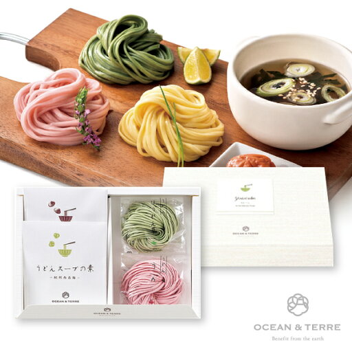 プラス1品 縁起物野菜うどんセットH プラス1品 縁起物野菜うどんセットH