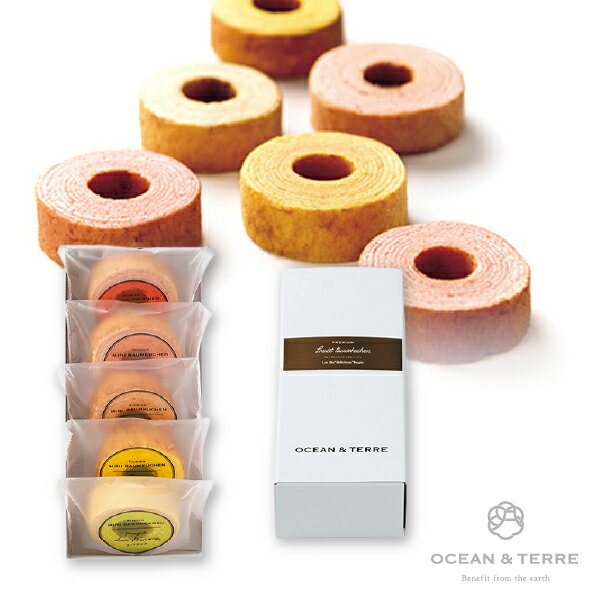 引き菓子Premium フルーツバームセットE(焼き菓子 引き菓子 引き出物 引出物 内祝い ギフト 結婚式 ウェディング ウエディング 出産内祝い お返し 快...