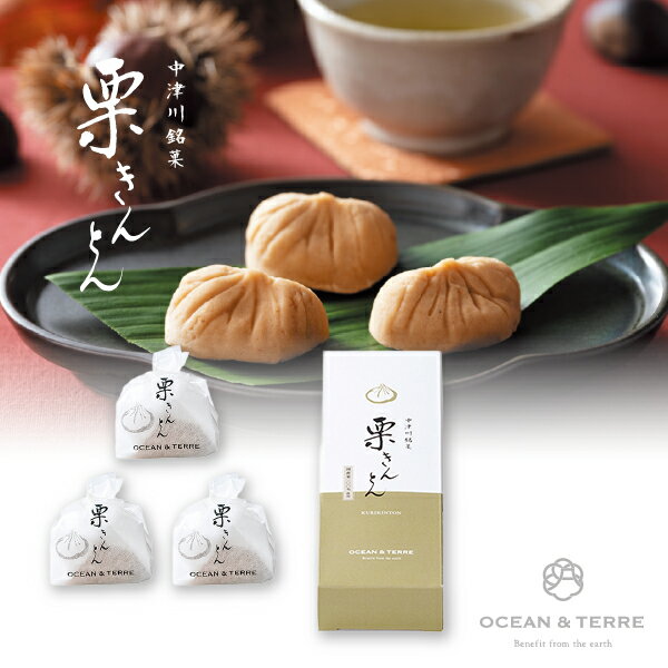 引き菓子中津川銘菓 栗きんとん3個(焼き菓子 引き菓子 引き出物 引出物 内祝い ギフト 結婚式 ウェディング ウエディング 出産内祝い お返し 快気祝い)