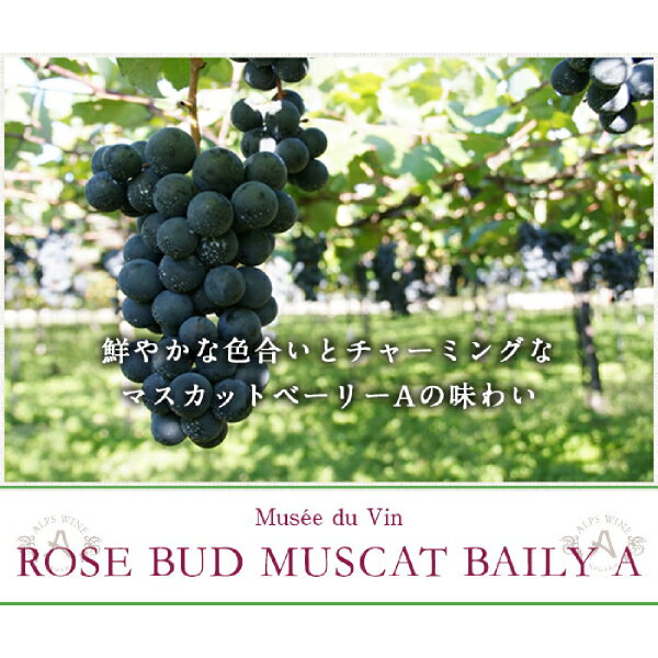 ミュゼドゥヴァン ローズバッド マスカットベーリーA ロゼ 720ml(敬老の日 ジュース・お酒 酒フェス_ワイン お酒 プレゼント ギフト お礼 お祝い お返し 内祝い 記念品 贈り物 誕生日 父の日 母の日 還暦 就職 昇進 退職 定年 クリスマス 結婚 お中元 お歳暮 お年賀)