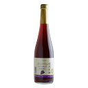 信州巨峰スパークリング 500ml 6本セット(お中元 夏ギフト 残暑見舞い ギフト プレゼント ドリンク ジュース・お酒 酒フェス_ワイン お酒 ギフト お礼...
