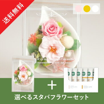 【送料無料】敬老の日プレゼント専用フラワーギフトセット(スターバックスセット)マリー敬老の日 プレゼント 敬老の日ギフト 花 送料無料 敬老の日プレゼント コーヒー スターバックスギフト