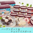 ハーゲンダッツ＆チョコアイスボール(敬老の日 アイス スイーツ2023_アイス ヤバケイ 洋菓子 スイーツ デザート アイスギフト チョコアイス ハーゲンダッツ アイスクリーム プレゼント お土産 お祝い パーティー ご褒美 母の日 父の日