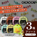 【クール便】CACAOCAT チョコレート2個入りお楽しみアソート 3種(母の日 2025 DADACA カカオキャット おまかせ お楽しみ 詰め合わせ ミック...