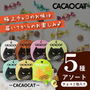 【クール便】CACAOCAT チョコレート2個入りお楽しみアソート 5種(母の日 2025 DADACA カカオキャット おまかせ お楽しみ 詰め合わせ ミック...