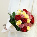 【産地直送】バラ花束 エレガントミックス 18本プレゼント 花 花束 ギフト 母の日ギフト 母の日プレゼント ははの日 オシャレ 実用 誕プレ 母の日 送料無料...