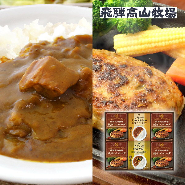 飛騨高山牧場 焼きハンバーグ＆こだわりカレーセットD飛騨牛 ハンバーグ レトルト...