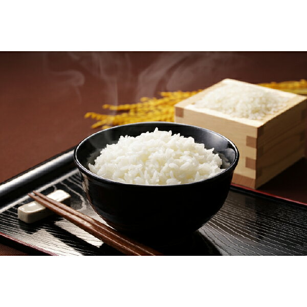PIARY(ピアリー)楽天市場店の麺米御膳-めんまいごぜん-A(敬老の日 ギフト プレゼント 贈り物 個包装 名入れ お米 うどん お祝い 内祝い 結婚祝い 結婚内祝い 出産内祝い 手土産 お返し お礼 快気祝い 退職祝い 引越祝い 詰め合わせ 挨拶 人気 おすすめ)｜アングル3