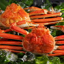 ずわいがに姿(550g×2尾)(母の日 2025 父の日 夏ギフト お中元 グルメ 食べ物 食品 カニ 贈り物 ギフト プレゼント 男性 女性 お祝い 内祝い ...
