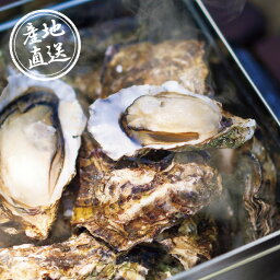 産地直送グルメ│広島牡蠣のカンカン焼き【広島県】グルメギフト 海鮮ギフト