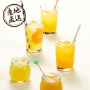産地直送グルメ│伊藤農園 100%ピュアジュース4種飲み比べ10本グルメギフト ドリンクギフト