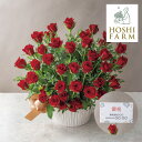 ホシファーム 薔薇の御祝アレンジメント ルージュ(プレゼント お花 花束 フラワーギフト ギフト プレゼント 贈り物 お祝い 内祝い 手土産 お返し お礼 快気祝い 退職祝い おしゃれ 話題 人気 おすすめ)
