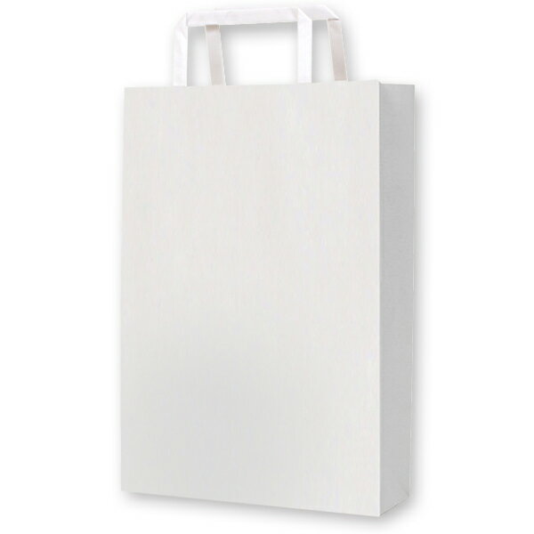 手さげ紙袋 カタログギフト用(小さめサイズ カタログギフトに最適)