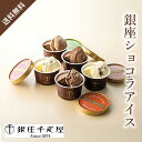 銀座千疋屋 銀座ショコラアイス(母の日 2025 父の日 夏ギフト お中元 アイス 洋菓子 お菓子 贈り物 ギフト プレゼント お礼 お返し お祝い 内祝い 結...