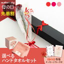 【先着★最大500円OFFクーポン!】母の日フラワーギフト アイネ(選べるハンドタオルのセット)(母の日 花 まだ間に合う ギフト プレゼント お菓子 鉢植え ...