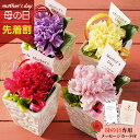 【先着★最大500円OFFクーポン!】母の日フラワーギフト ポエム(母の日 花 まだ間に合う ギフト プレゼント 鉢植え 花鉢 お菓子 洋菓子 40代 50代 ...