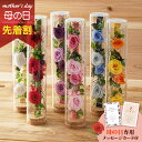 【先着★最大500円OFFクーポン!】母の日フラワーギフト ロゼー(母の日 花 まだ間に合う ギフト プレゼント 鉢植え 花鉢 お菓子 洋菓子 40代 50代 ...