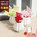 【先着★最大500円OFFクーポン!】母の日フラワーギフト プティ(母の日 花 まだ間に合う ギフト プレゼント 鉢植え 花鉢 お菓子 洋菓子 40代 50代 ...