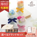 【先着★最大500円OFFクーポン!】母の日フラワーギフト チェリッシュ(選べるブランドギフトのセット)(母の日 花 まだ間に合う スイーツ コーヒー ギフト ...
