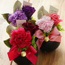 【最短翌日出荷】プリザーブドフラワーギフト エデル(花 フラワー ギフト プレゼント 誕生日 花鉢 お祝い 御祝い 贈り物 結婚記念日 結婚祝い 退職祝い 記念...