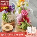 【先着★最大500円OFFクーポン!】母の日フラワーギフト ボーテ S(スイーツセット)(母の日 花 まだ間に合う スイーツ ギフト プレゼント お菓子 鉢植え...