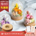 【先着★最大500円OFFクーポン!】母の日フラワーギフト ミニョン(スイーツセット)(母の日 花 まだ間に合う スイーツ ギフト プレゼント お菓子 鉢植え ...