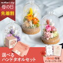 【先着★最大500円OFFクーポン!】母の日フラワーギフト ミニョン(選べるハンドタオルのセット)(母の日 花 まだ間に合う ギフト プレゼント お菓子 鉢植え...